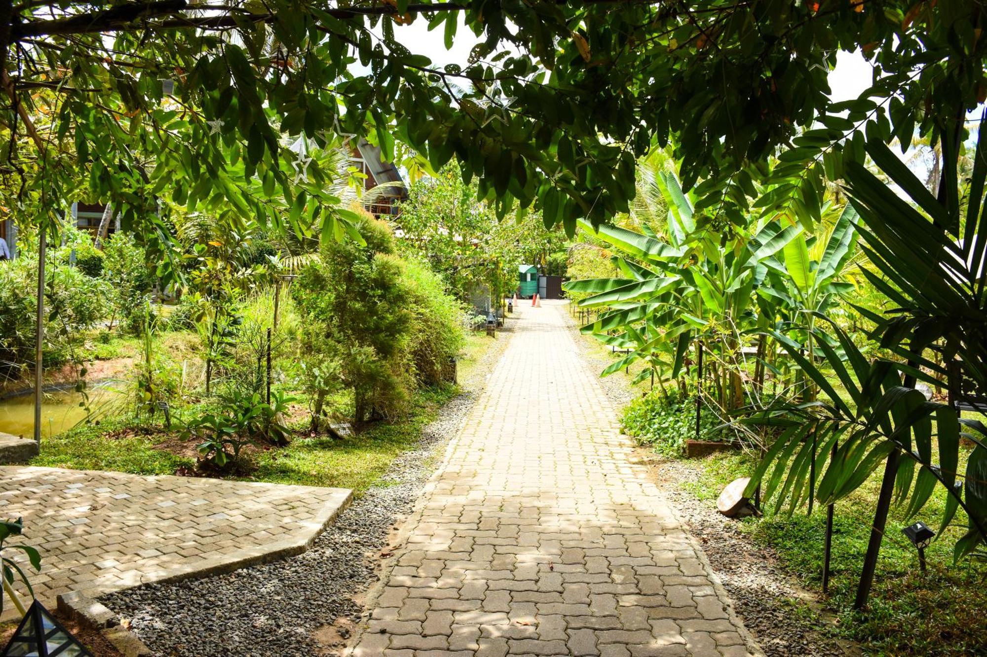 Steps Garden Resort Негомбо Экстерьер фото